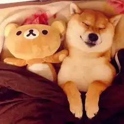 这一条微信关乎秦皇岛所有人