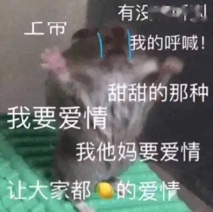 挽回对方感情的表情包对