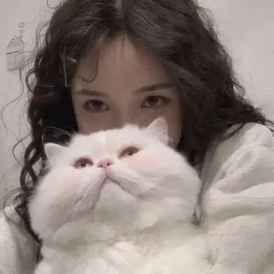 猫咪头像治愈系超清无头