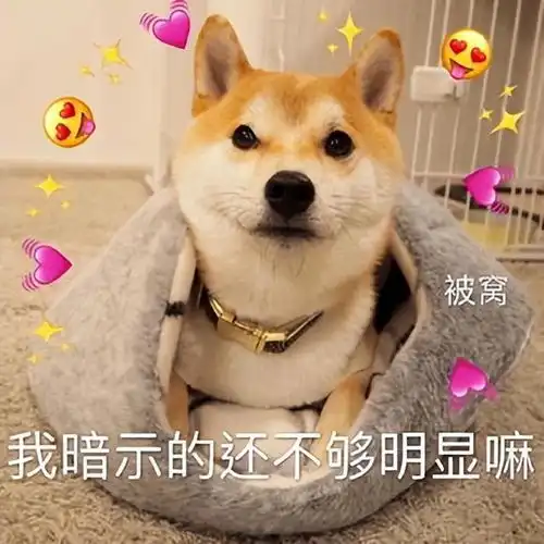 狗界4不养,谁养谁不幸