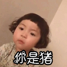 猪动图表情包罗熙