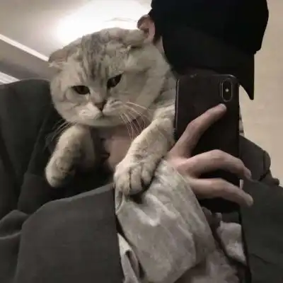 猫系少年图片头像女头像