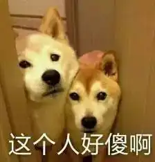 今年阜阳第一场雪杀到,可达暴雪级别,积雪深度10厘米以上,更可怕的是