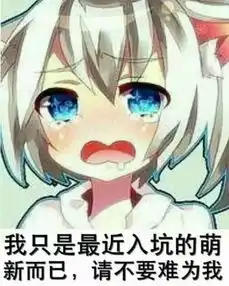 新群求人