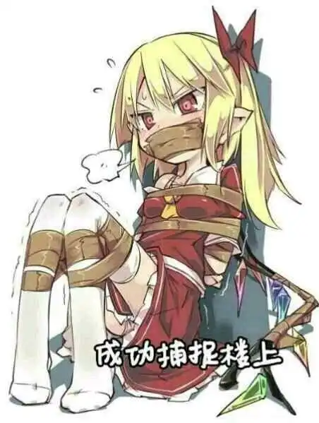 哔哩哔哩专栏