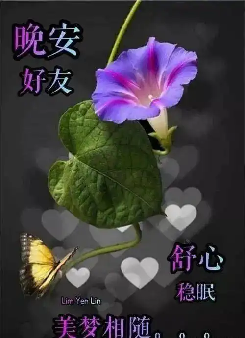 群发晚上好问候动画表情包,睡前晚安问候祝福图片带字