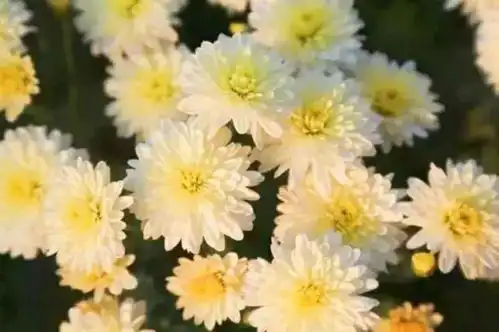 确认过眼神,是国庆想去的地方