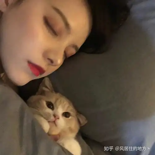 猫咪头像真人系头像图片