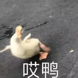挽回对方感情的表情包殷