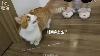又被治愈了
