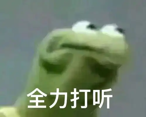 不想再加入任何组织了
