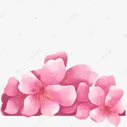 一堆粉红色花朵免抠图素材图片免费下载高清psd千库网图片编号11631943