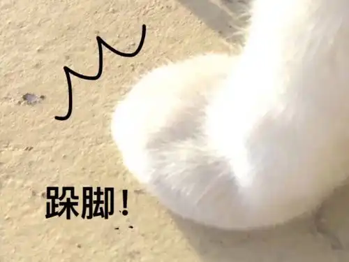我们公司的hr贼皮