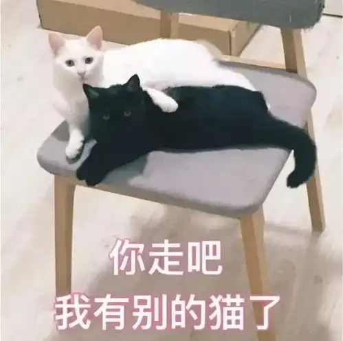 喵星人表情包喜欢的人变成了猪
