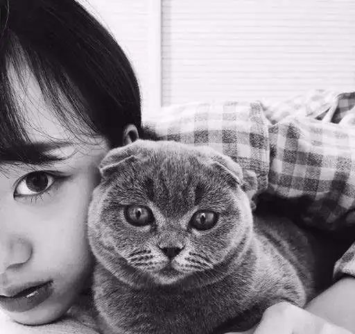 刘阳猫咪见一个爱一个,sorry猫才没你那么渣