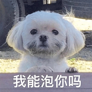 可爱沙雕表情包抱抱我的小肥猪