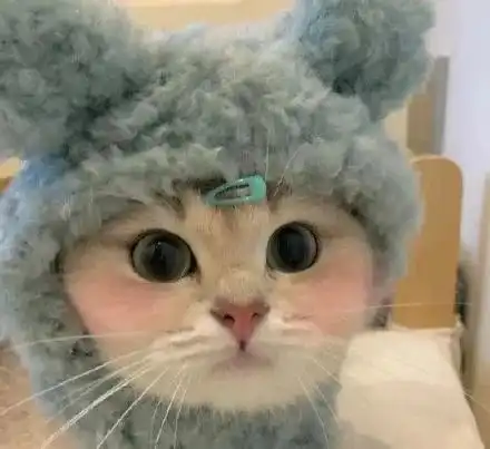 腾讯新闻