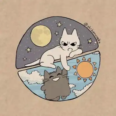 可爱猫咪头像系头像动漫
