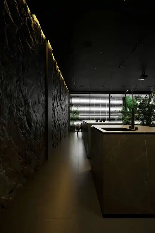 house设计黑色绿植通透主义彩光源