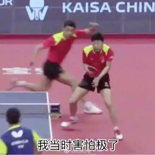 还是张继科有经验