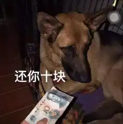 看机会又来了表情包借钱