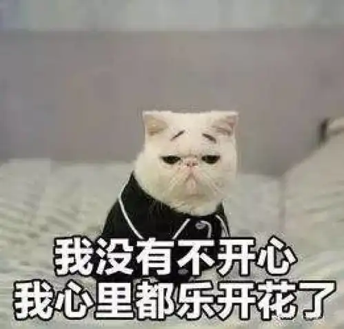 对不起,中年人不过双十一