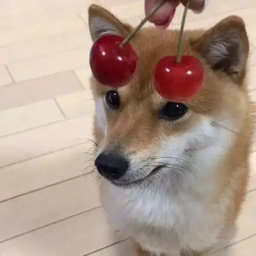 可爱萌系头像