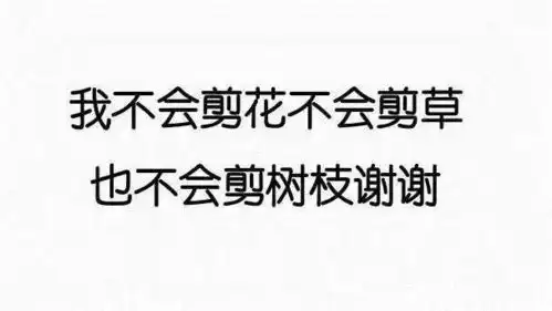 用一个表情包形容你的专业