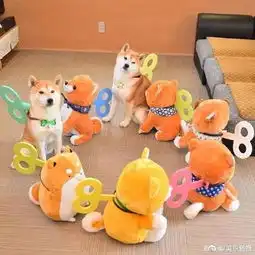 主人买了一堆柴犬玩偶,结果柴犬混入其中,主人想找也找不到了