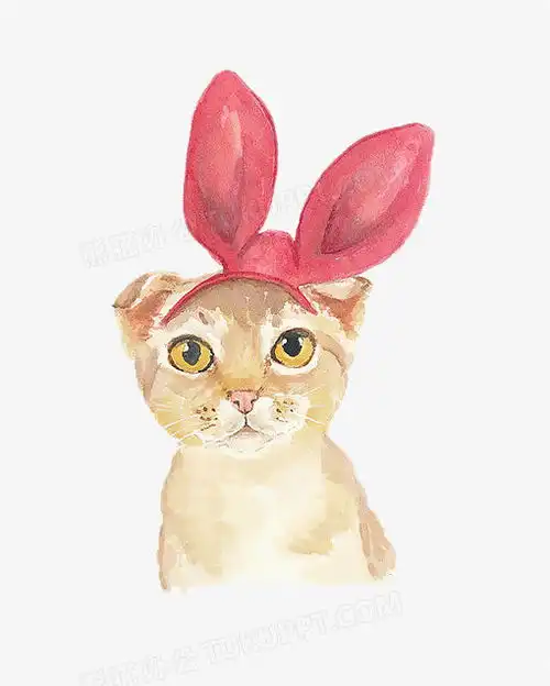 卡通猫咪png图片素材免费下载猫咪png510637像素熊猫办公