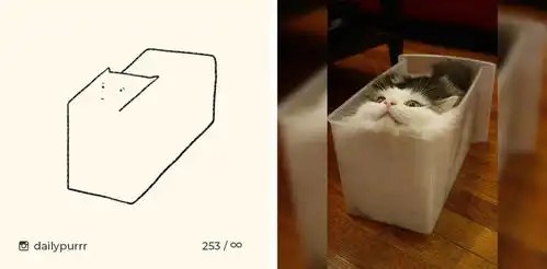 他每天画一幅猫,但只用一根线条,堪称喵星人的灵魂画手