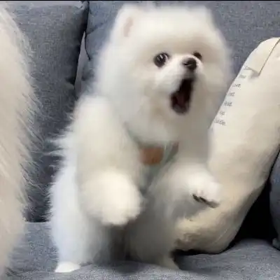 ins风微信头像