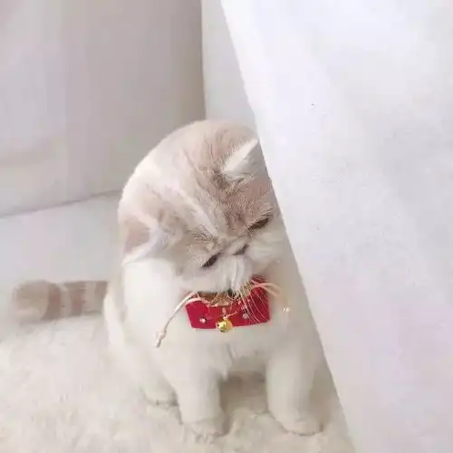 谁不是独自一人来这人世间走一遭