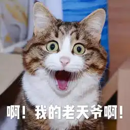 七夕明朝人怎么玩浪漫