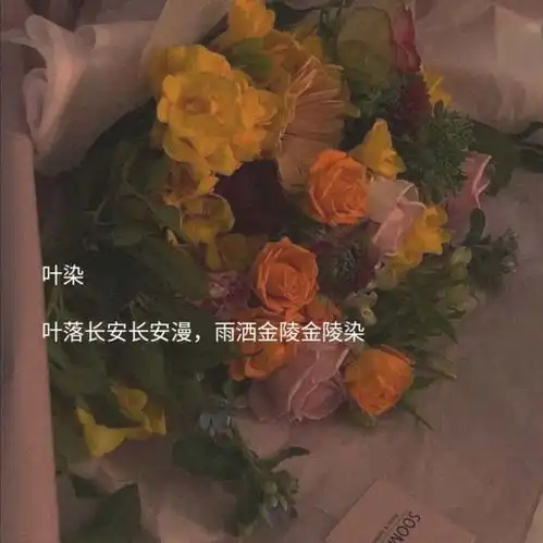 含有特殊寓意的古风网名可叹惊鸿一瞥,误入眉眼,欢喜多年