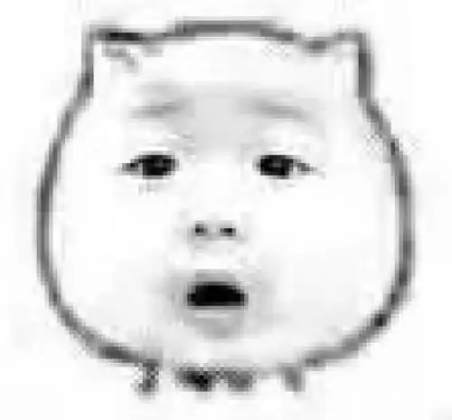 猥琐猫表情系列,猥琐中带点萌