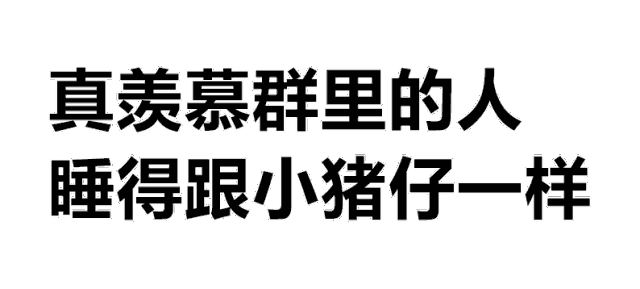 猪生气表情包动图gif