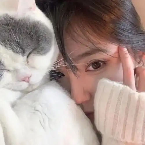 一组猫系女生头像,请签收