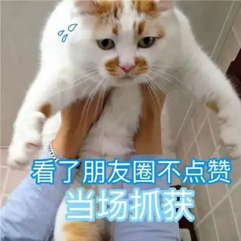 合适发朋友圈的表情包,欢迎来到穷困潦倒的朋友圈