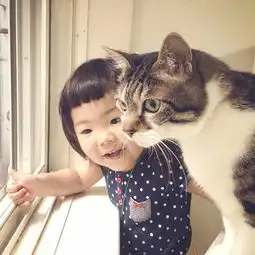 绝对治愈系照片孩子与猫咪的日常生活