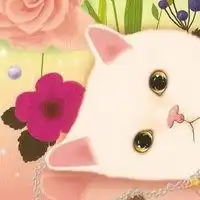 猫猫头像可爱卡通微信头像图片大全