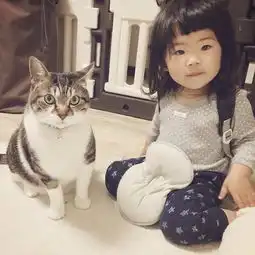 绝对治愈系照片孩子与猫咪的日常生活