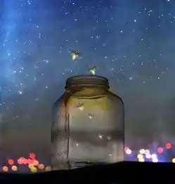 关于夏沫浅雨的头像