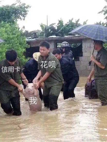 叫你乱说打脸狗狗动图表情包动图打脸表情