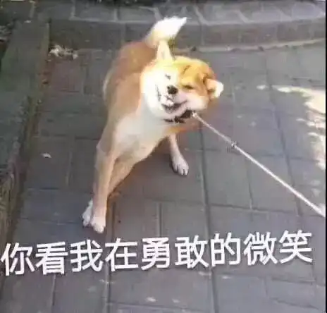 枣庄首例开设赌场集团犯罪案件二审宣判环卫阿姨丢手机痛哭里面有儿子生前照片