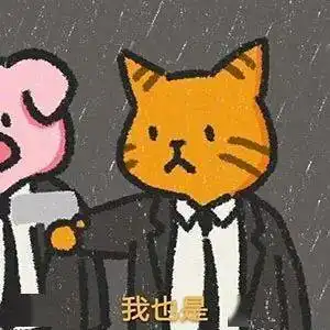 因为大概只需一眼,就能为之心喜
