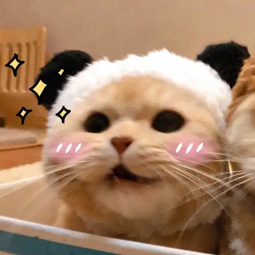 我的收藏夹