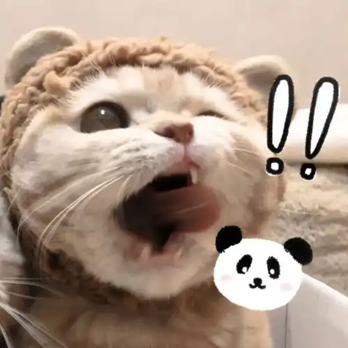 朋友圈好看背景图下雨了别跑反正前面也是雨