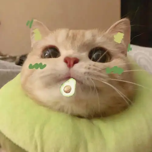 在朋友圈,那些看一眼就能走进心里的句子
