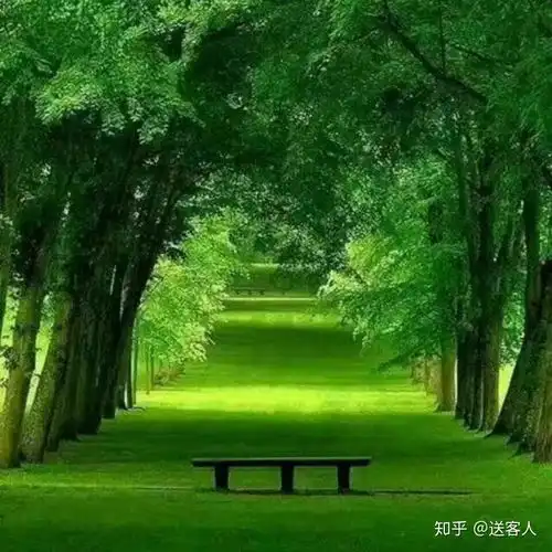 绿色系头像网名未来的你
